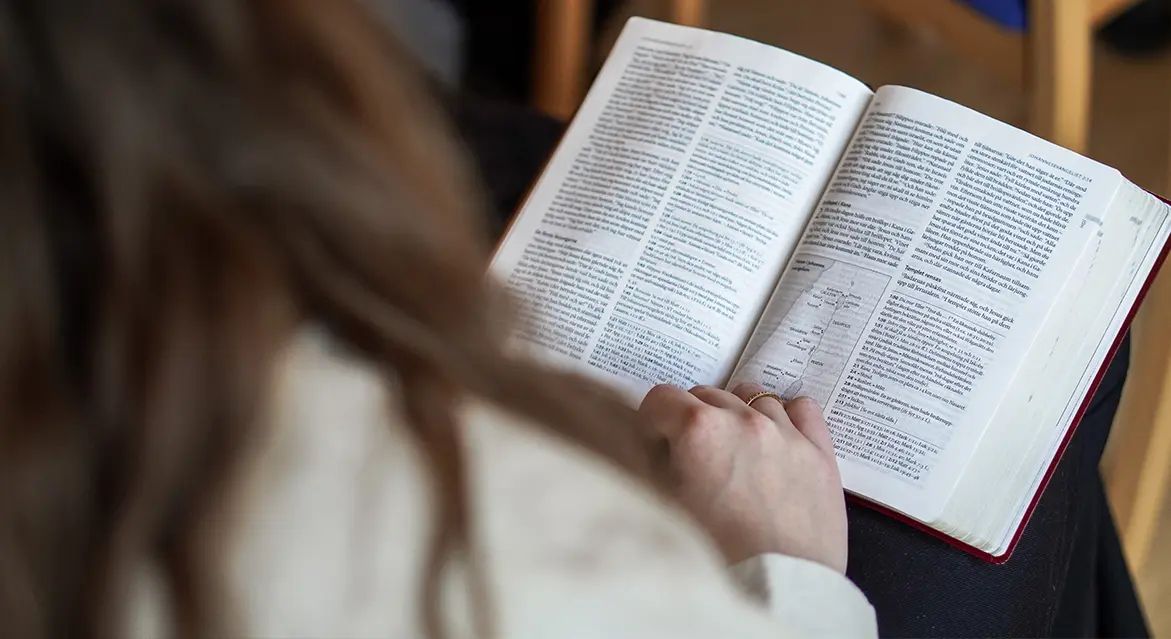 Måla drömmen ung 2023 Bibelläsning bibel